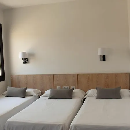 Vertisol 3*